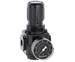 R72G-2AK-RMG Excelon R72G Series, 1/4" PTF ports, knob adjustment, relieving pressure regulator, with gauge